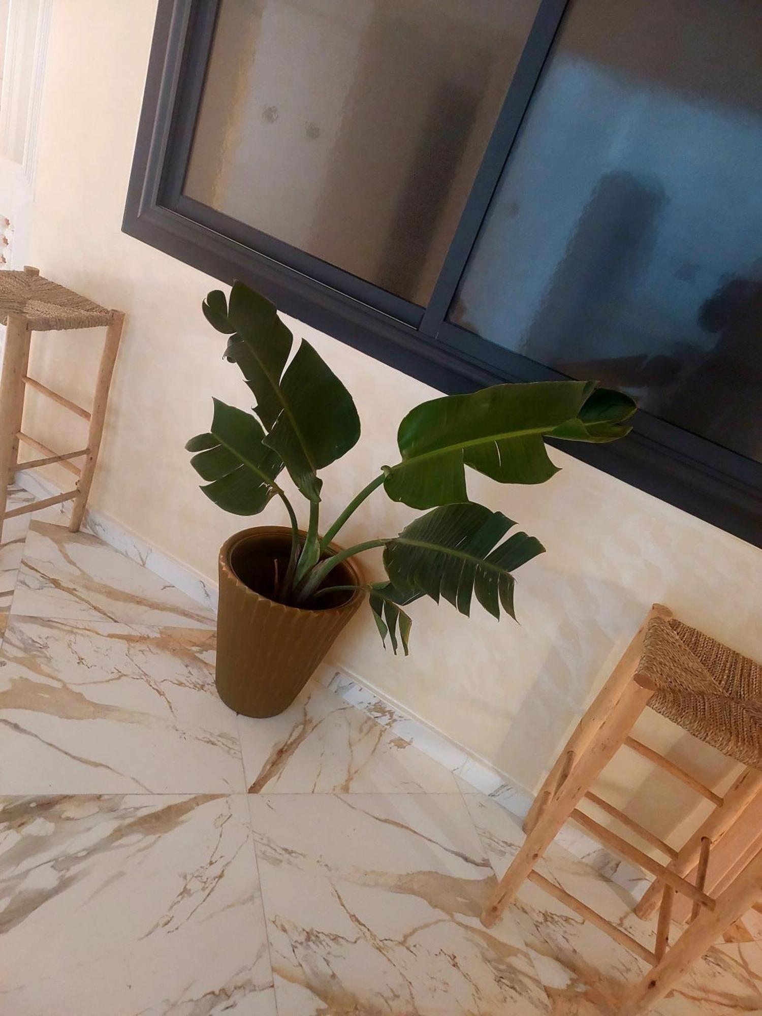 Mogador Appartements T6 Essaouira Eksteriør bilde