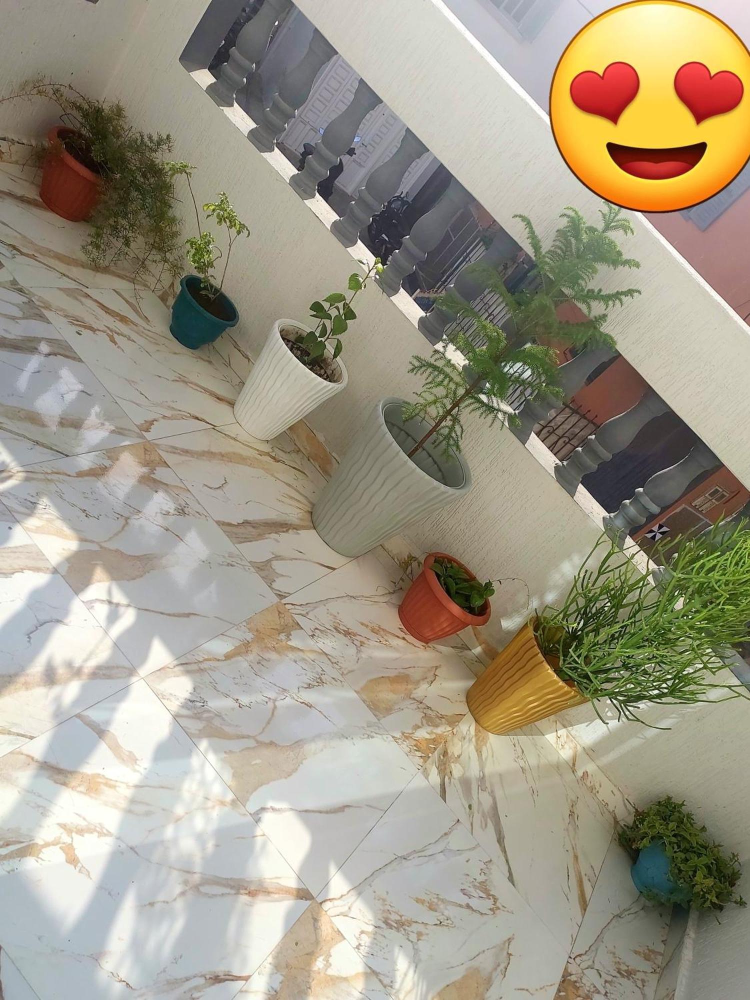 Mogador Appartements T6 Essaouira Eksteriør bilde